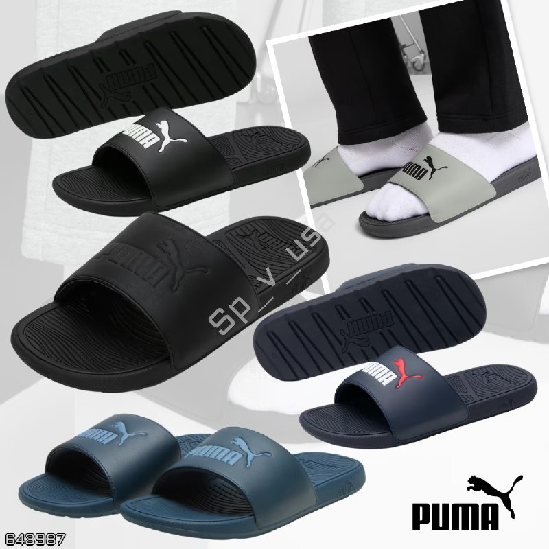 Puma